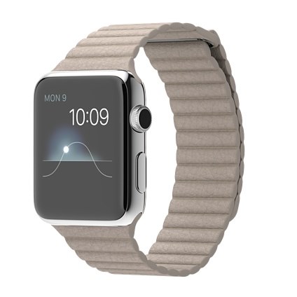 stone-leather-42mm-apple-watch
